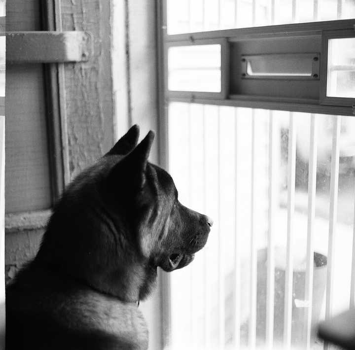  Loose Frames — photo 45 