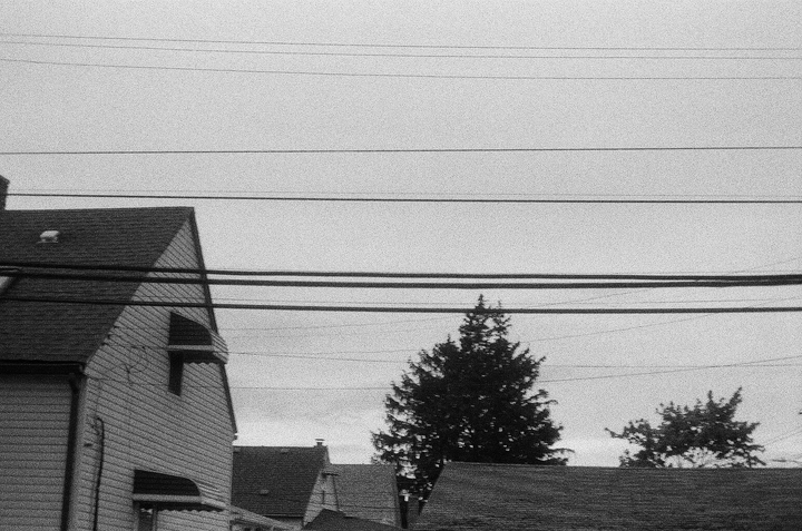  queenie — photo 17 