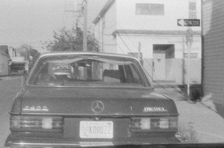 queenie — photo 19 