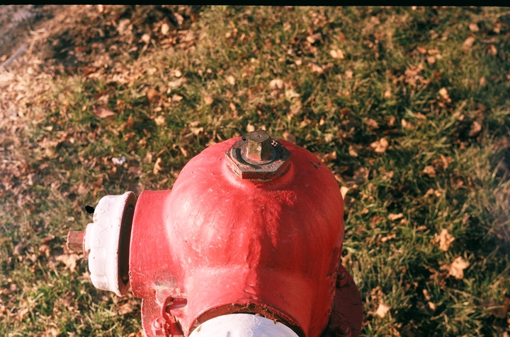 https://stevenbcherry.com/images/69900032.JPG 